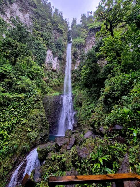 Dominica: Middleham Falls, Titou Gorge, and Trafalgar Falls - What Travelers Say