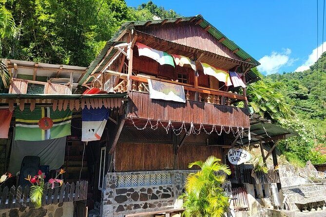 Dominica Roseau City and Rainforest Tour - The Experience of the Guides and Logistics