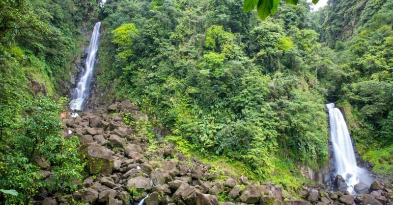 Dominica: Safari Scenic Tour with Karaoke - Exploring Dominica: What’s Included and What to Expect