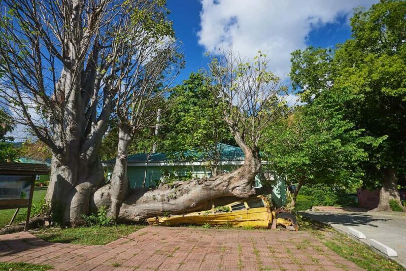 Dominica: Safari Scenic Tour with Karaoke - Frequently Asked Questions
