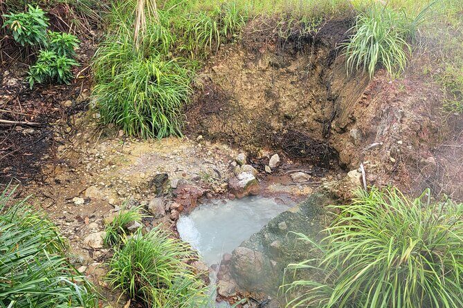 Dominica Scenic Waterfalls and Hot Springs @ Autop Tours - Overall Tour Experience