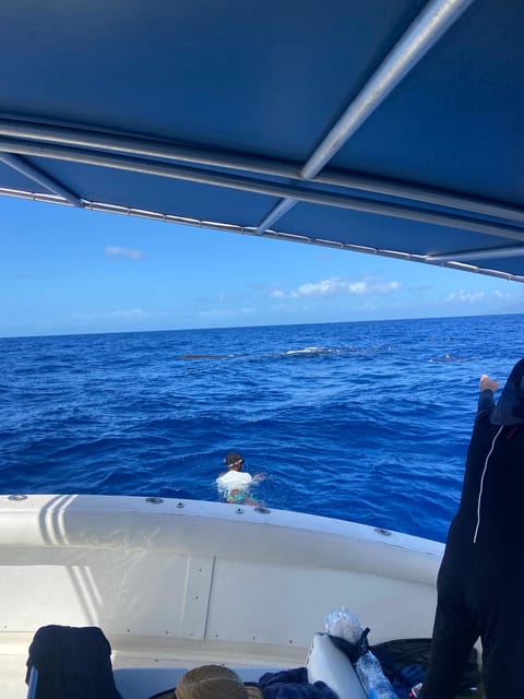 Dominica: Swimming With Sperm Whales Guided Tour - Whale Behavior and Conservation