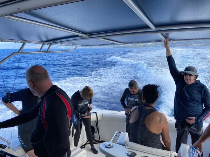 Dominica: Swimming With Sperm Whales Guided Tour - Recap