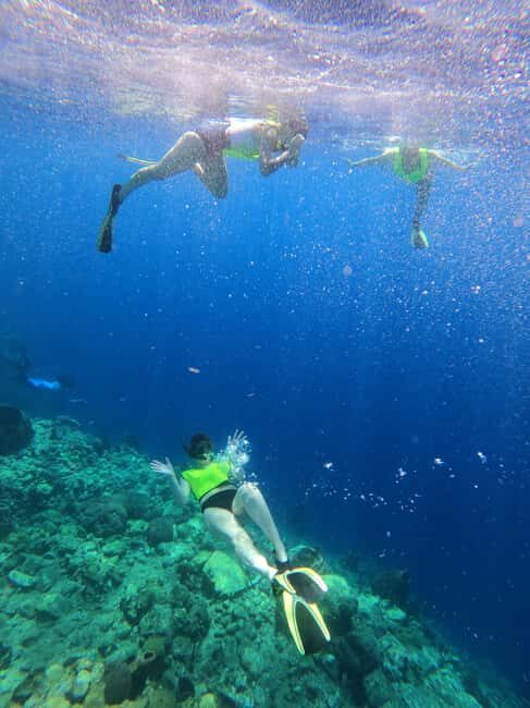 Dominica Waterfalls Chasing and Snorkeling Experience - Trafalgar Falls: Twin Waterfalls with a Refreshing Edge