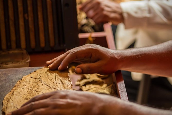 Dominican Cigar Factory Tour - Tour Experience