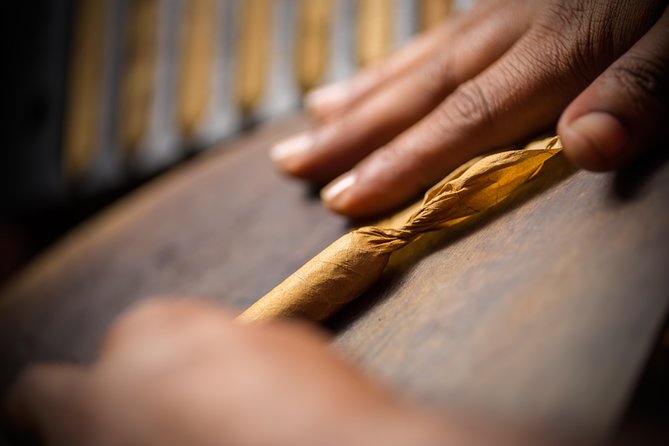 Dominican Cigar Factory Tour - Accessibility and Amenities