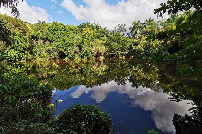 Dominican FLAVOR & COUNTRYSIDE SAFARI Pick-up Included - About Your Stay