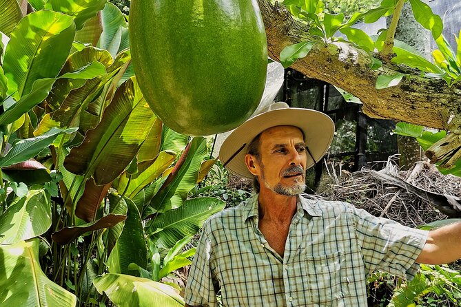 Dominican FLAVOR & COUNTRYSIDE SAFARI Pick-up Included - Schedule