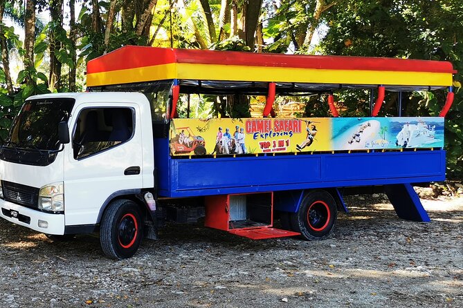 Dominican FLAVOR & COUNTRYSIDE SAFARI Pick-up Included - Booking Your Stay