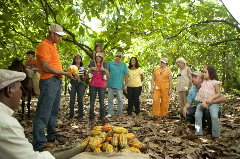 Dominican Republic: 3-Hour Chocolate Lovers Tour - Key Points