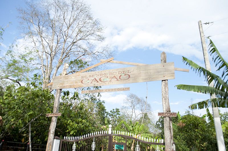 Dominican Republic: 3-Hour Chocolate Lovers Tour - Languages and Accessibility