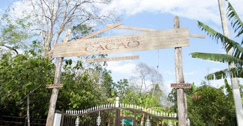 Dominican Republic: 3-Hour Chocolate Lovers Tour - Meeting Point and Cancellation