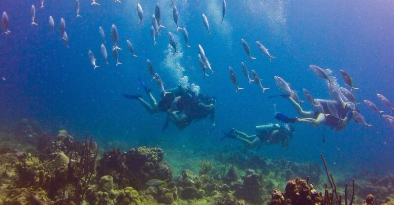 Dominican Republic: Catalina Island VIP Scuba Diving - Included Amenities