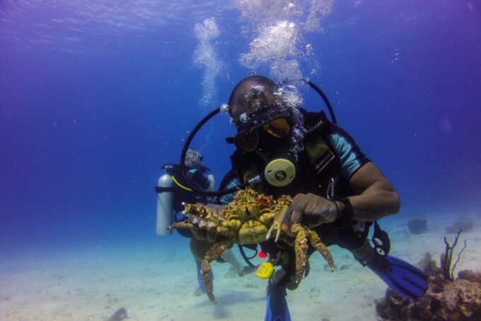 Dominican Republic: Catalina Island VIP Scuba Diving - Customer Feedback