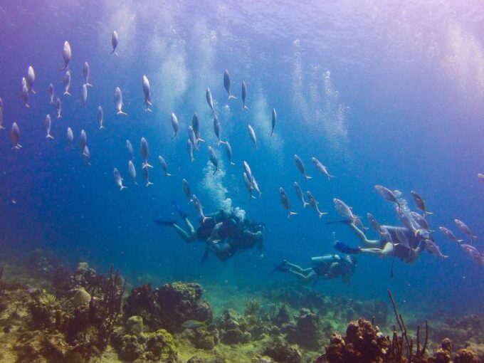 Dominican Republic: Catalina Island VIP Scuba Diving - Frequently Asked Questions
