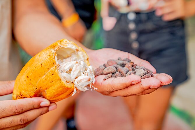 Dominican Republic Countryside Safari Tour From Punta Cana - Customer Reviews and Feedback