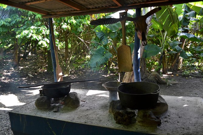 Dominican Republic Countryside Safari Tour From Punta Cana - Exploration of Local Agriculture and History