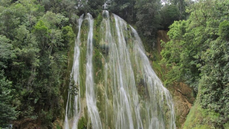 Dominican Republic: El Limón Waterfall Horseback Riding Tour - Experience Highlights