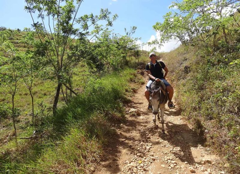 Dominican Republic: El Limón Waterfall Horseback Riding Tour - Participant Information