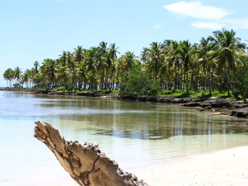 Dominican Republic: Full-Day Beach Trip on Samana Peninsula - Key Points