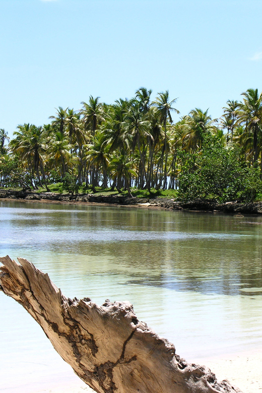 Dominican Republic: Full-Day Beach Trip on Samana Peninsula - Inclusion and Exclusion