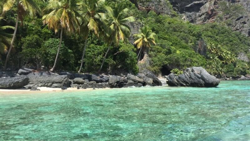 Dominican Republic: Full-Day Beach Trip on Samana Peninsula - Recommendations for Travelers