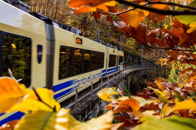 Domodossola: Centovalli Train & Valle Vigezzo Museums Ticket - Aperitif and Snacks