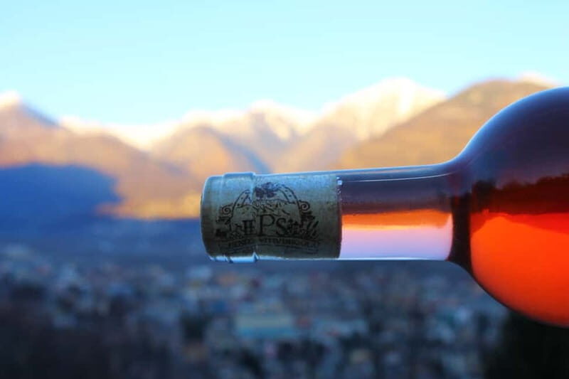 Domodossola: Savor Wines & Local Treats in a Scenic Vineyard - Vineyard Exploration