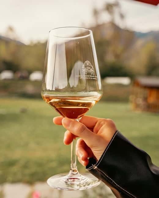 Domodossola: Savor Wines & Local Treats in a Scenic Vineyard - Scenic Views
