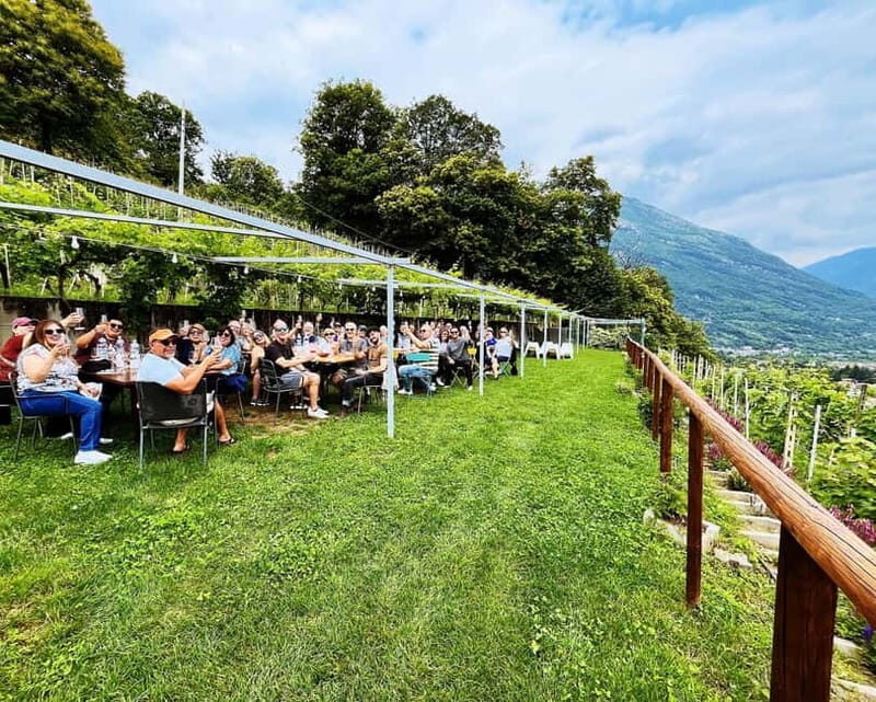 Domodossola: Savor Wines & Local Treats in a Scenic Vineyard - Cultural Connection