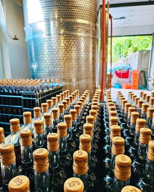 Domodossola: Savor Wines & Local Treats in a Scenic Vineyard - Booking Information
