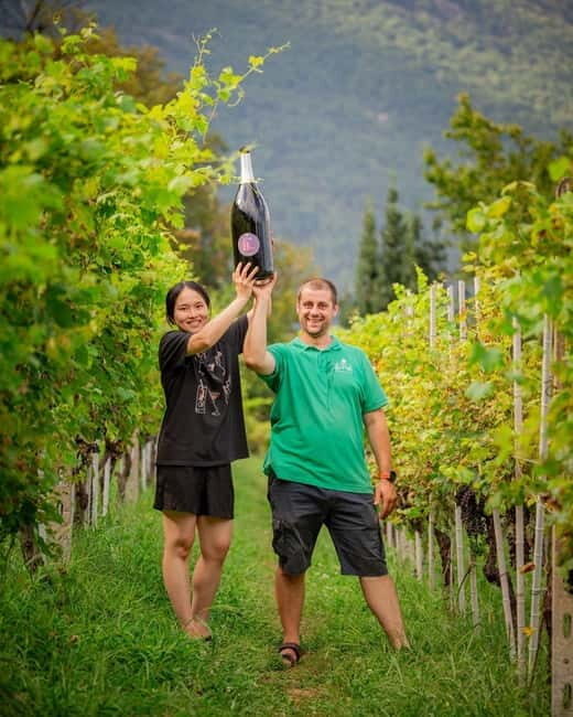 Domodossola: Savor Wines & Local Treats in a Scenic Vineyard - Since Your Asked