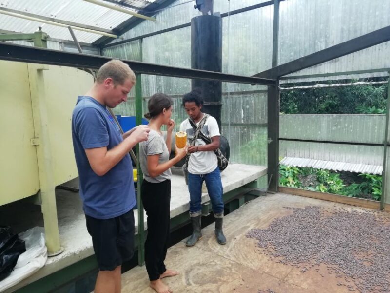 Don Diego – Taironaka & Cocoa Tour VIP - Key Points