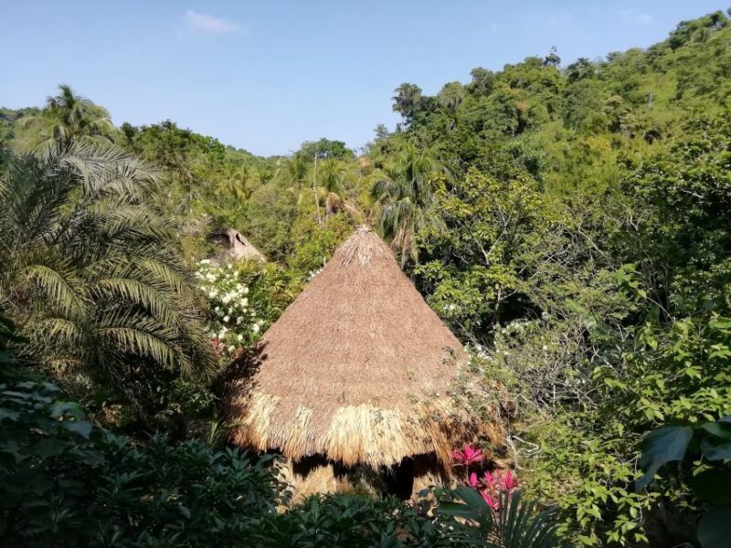 Don Diego – Taironaka & Cocoa Tour VIP - Itinerary Highlights