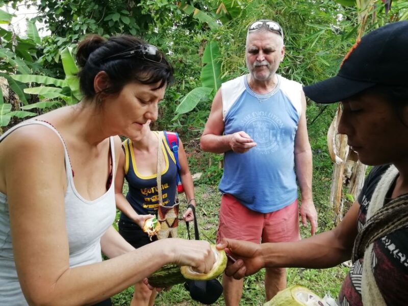 Don Diego – Taironaka & Cocoa Tour VIP - Cultural and Historical Experience
