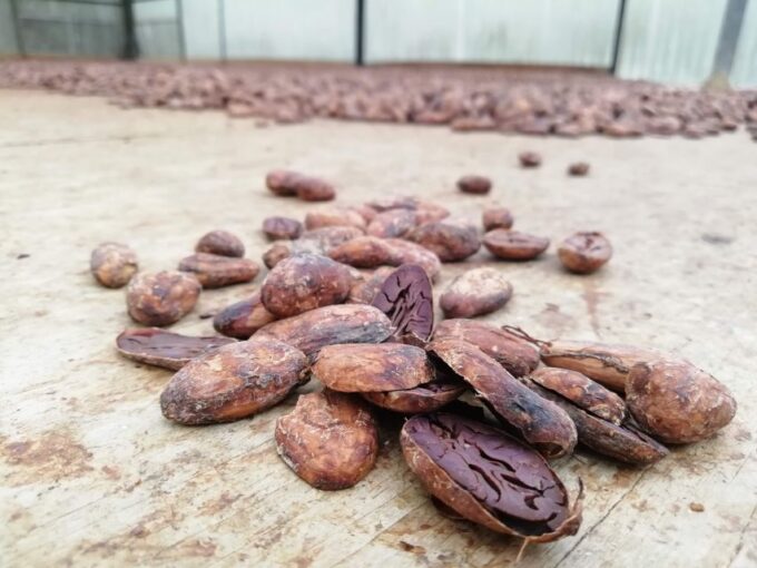 Don Diego – Taironaka & Cocoa Tour VIP - Pickup Locations