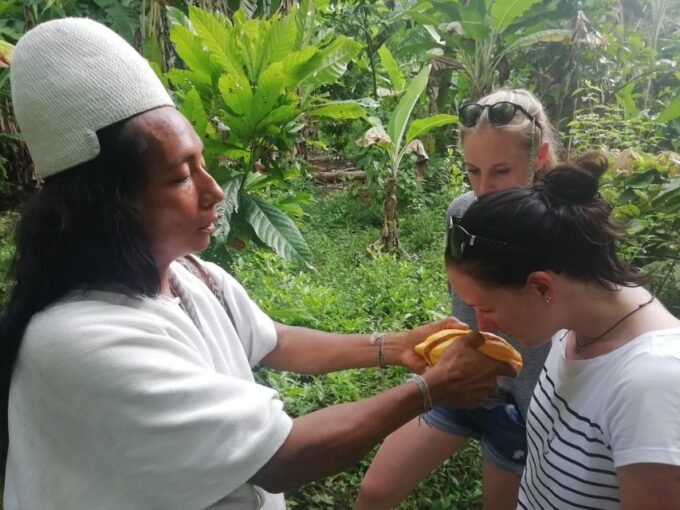 Don Diego – Taironaka & Cocoa Tour VIP - Free Cancellation and Payment Options