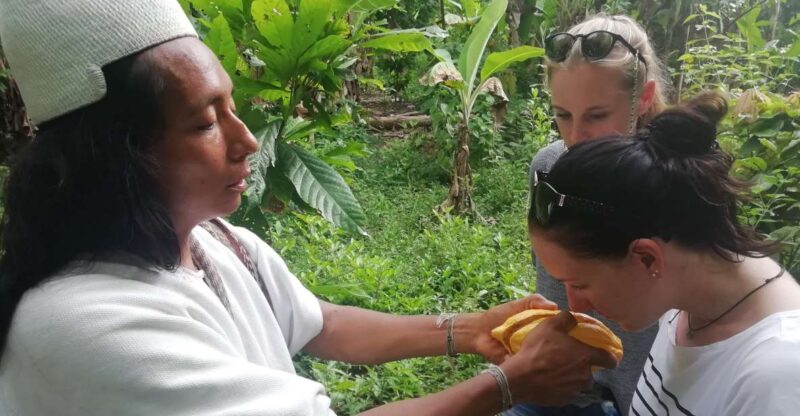 Don Diego – Taironaka & Cocoa Tour VIP - Cultural and Historical Experience