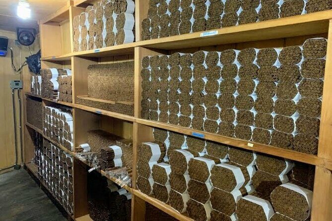 Don Lucas Cigar Factory & Store + Premium Rum Tasting (3 hours) - Who Should Consider This Tour?