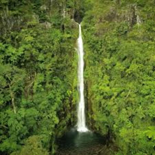 Don Salvador Benedicto: The Cool Mountain Retreat of Negros - Agricultural Heritage Exploration