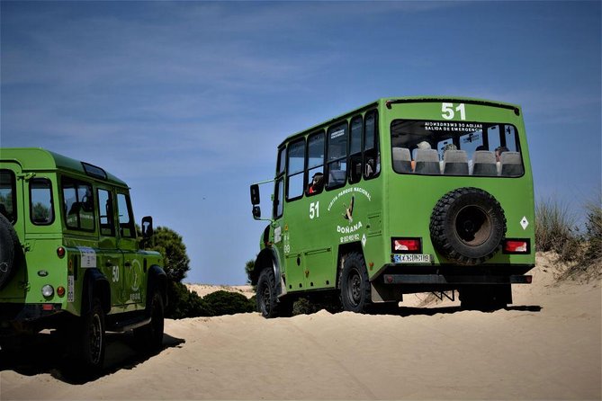 Doñana 4x4 and El Rocío Tour - Tour Overview