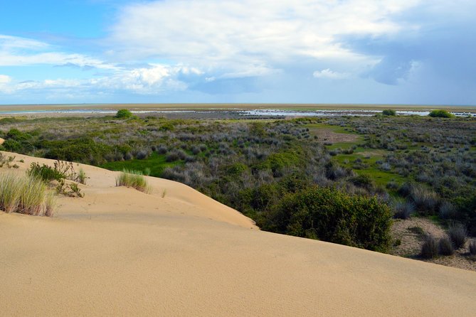 Doñana 4x4 and El Rocío Tour - Booking and Cancellation Policy