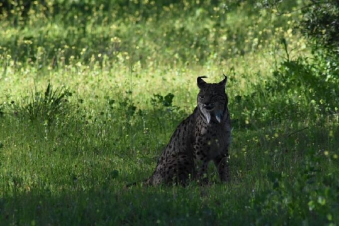 Doñana National Park: 2-Day Tour From Seville - Booking Details and Traveler Information