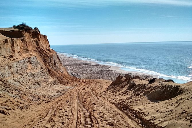 Donana National Park and El Rocío: Guided Tour From Seville - Wildlife Spotting Opportunities
