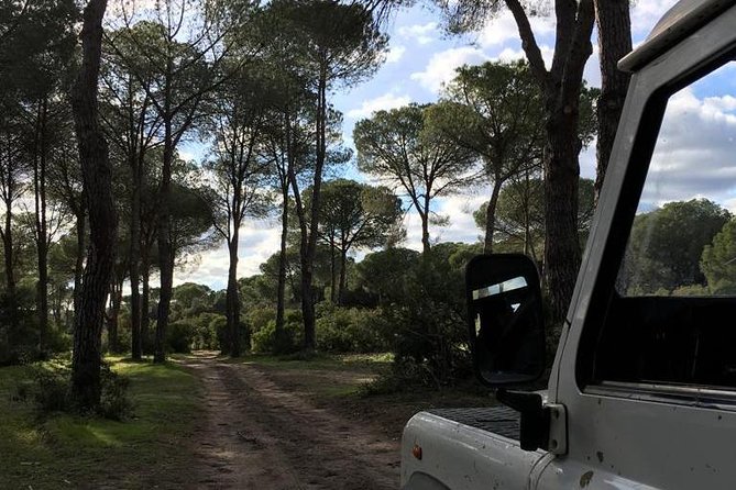 Donana National Park and El Rocío: Guided Tour From Seville - Discovering the Village of El Rocío