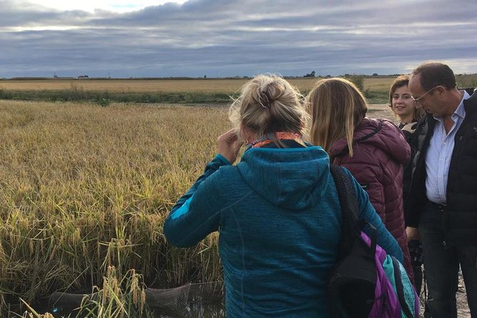 Donana National Park and El Rocío: Guided Tour From Seville - Tour Details and Reviews