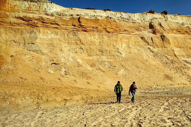 Donana National Park and El Rocío: Private Tour From Seville - Traveler Reviews and Feedback