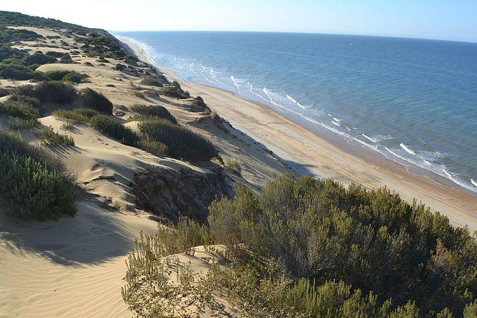 Donana National Park Horse or 4x4 Riding Day Trip - Inclusions and Logistics