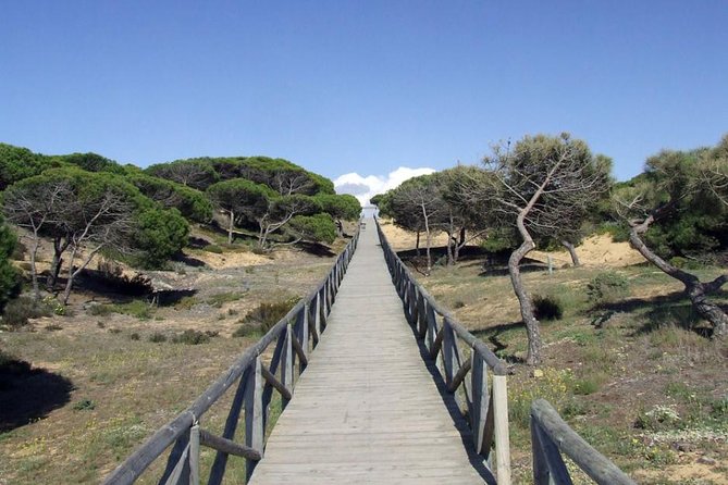 Donana National Park Horse or 4x4 Riding Day Trip - Wildlife Spotting Opportunities