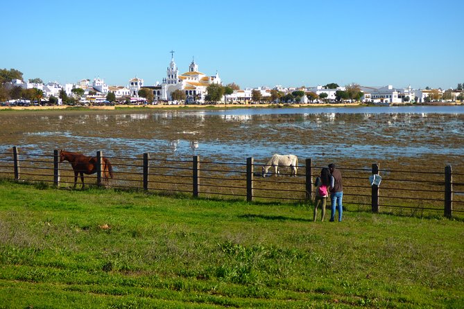 Doñana National Park in 4x4 and El Rocío - Discovering El Rocío Village
